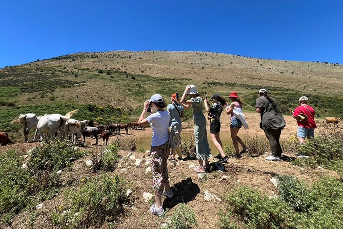 1-Day Tour in Blue Eye, Monastery, Gjirokaster and Lekursi Castle - Timing and transportation: what the 9:00 am start really means
