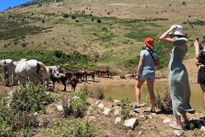1-Day Tour in Blue Eye, Monastery, Gjirokaster and Lekursi Castle - Stop 2: The Blue Eye (Syri i Kaltër)—fees, access, and why swimming may be off-limits