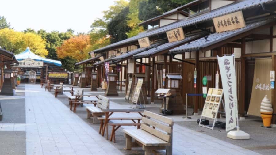 2.5-Hour Nagoya Tour: Castle History, Local Food & City View - Who this tour is best for