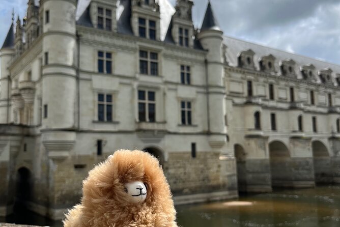 3 Loire Valley Castles and Wine Tasting Private Guided Tour - Château Royal d’Amboise: where Gothic turns Renaissance (and Leonardo stays)