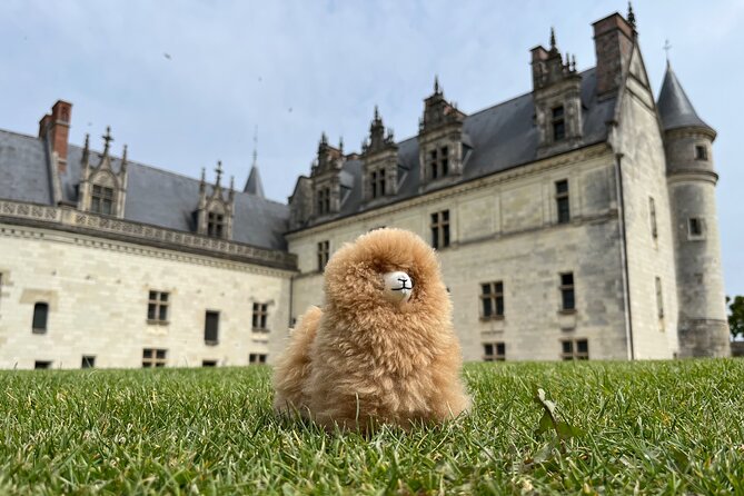 3 Loire Valley Castles and Wine Tasting Private Guided Tour - Château de Chenonceau: the ladies’ castle and a walkable estate