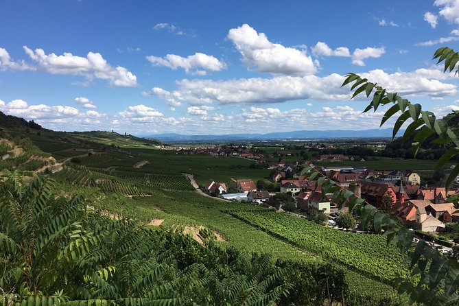 5H00 ALSACE PRIVATE TOUR-Castle, Villages, Wine, Friendly Driver - Private Alsace Comfort: Car, Pace, and Language