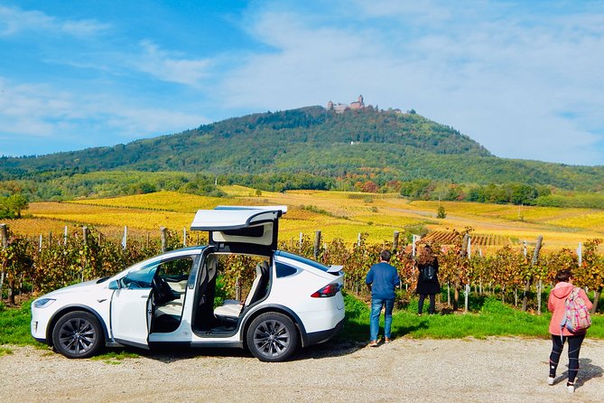 5H00 ALSACE PRIVATE TOUR-Castle, Villages, Wine, Friendly Driver - Riquewihr’s Medieval Streets: Time for Wandering and Photo Stops