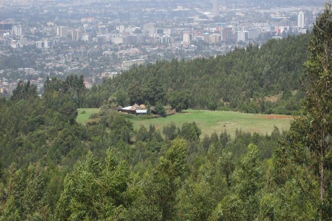 Addis Ababa +Mount Entoto View Point,Museums Palace Market Tours - Price and Logistics: Why $65.55 Can Make Sense