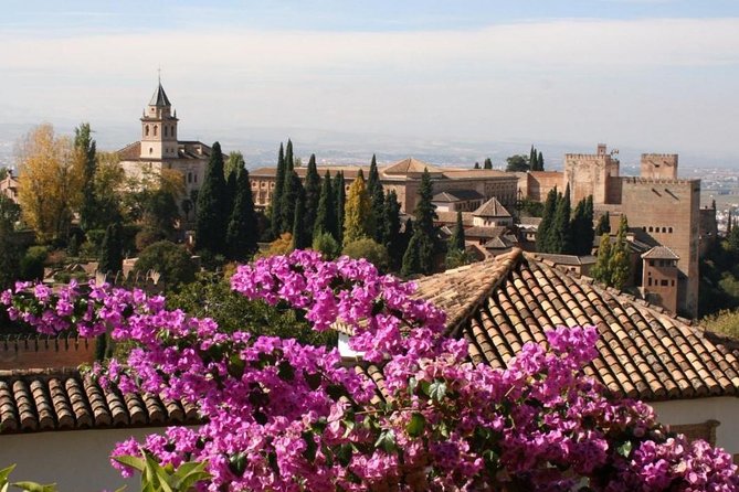 Alhambra &Charles Palace Guided Tour with Optional Nasrid Palaces - The Alhambra surroundings option: who it’s for and what you miss