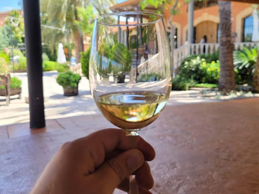 Alicante:Winery Tour+ Wine Tasting + Old castle - A small-group Alicante winery visit in 3 hours