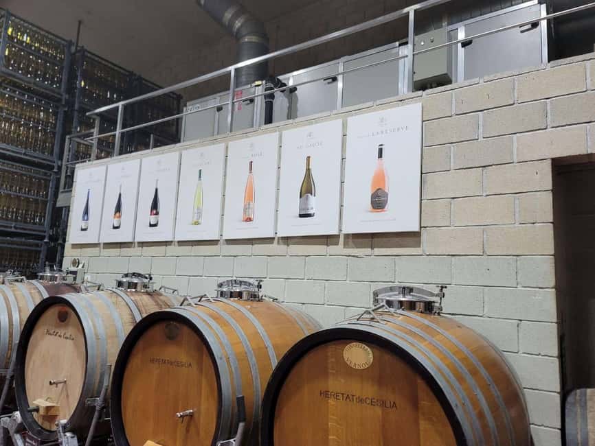 Alicante:Winery Tour+ Wine Tasting + Old castle - Inside the production rooms and museum old machines