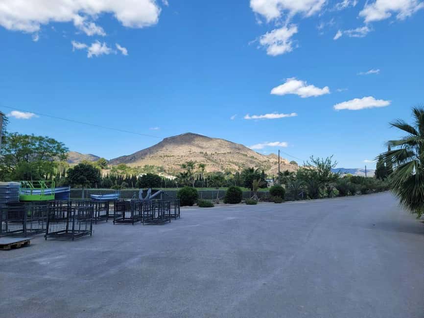 Alicante:Winery Tour+ Wine Tasting + Old castle - Watch-outs: pickup timing and what to bring to the winery