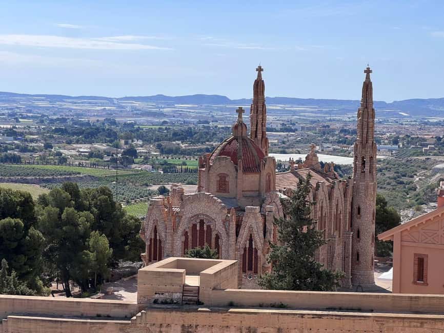 Alicante:Winery Tour+ Wine Tasting + Old castle - Start in the vineyard: how grapes are planted and harvested