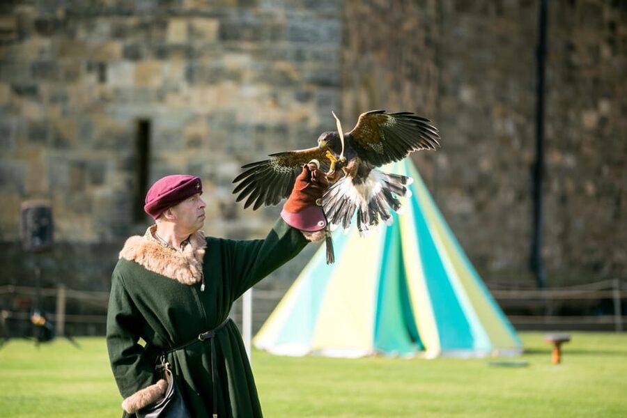 Alnwick: Alnwick Castle Ticket - Artisans Courtyard: medieval make-believe for families