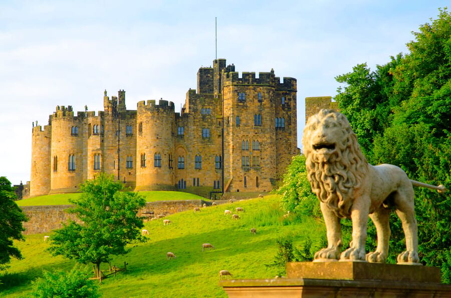 Alnwick: Alnwick Castle Ticket - Timing your day: how to pace rooms, outdoors, and activities
