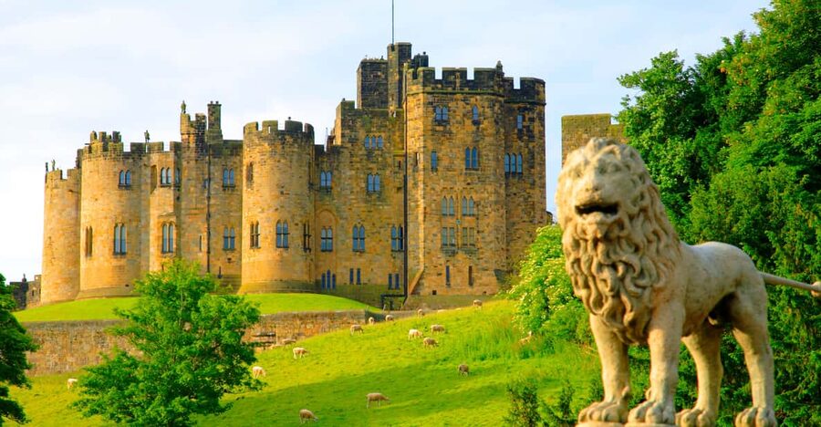 Alnwick: Alnwick Castle Ticket - State Rooms and the art collection you’ll want to slow down for