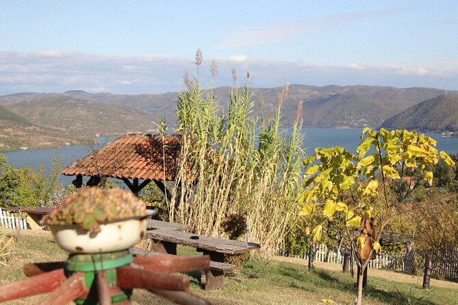 Along the Danube: Golubac Fortress & Iron Gate Gorge day trip from Belgrade - The Iron Gates boat ride: Great Boilers and the history behind the cliffs