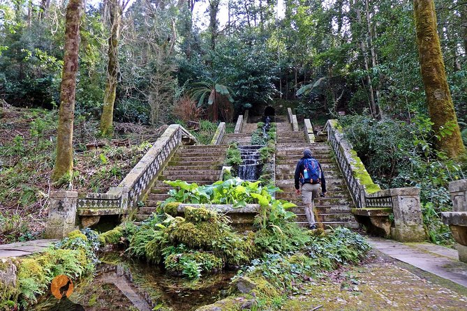 An adventure through the Forest and Palace of Bussaco - Coimbra - Key Highlights I’d Put on Your Radar