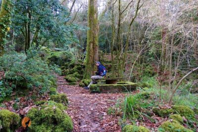 An adventure through the Forest and Palace of Bussaco - Coimbra - Meet the Guide: What Makes This Tour Feel Personal