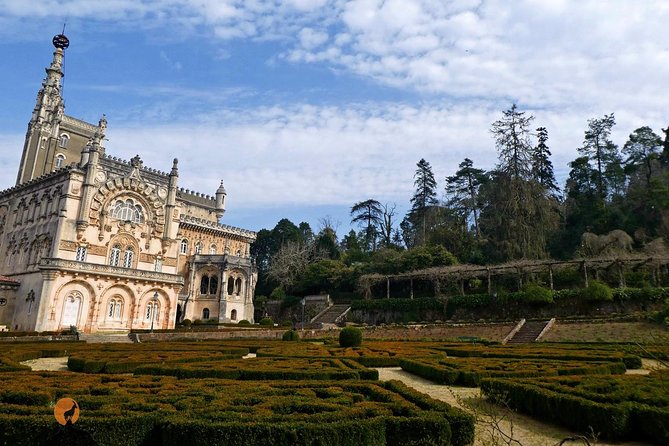 An adventure through the Forest and Palace of Bussaco - Coimbra - Monastery Steps and the Natural Spring: Small Details That Make the Place Memorable