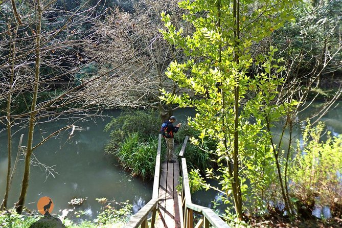 An adventure through the Forest and Palace of Bussaco - Coimbra - Timing, Duration, and Getting Your Bearings Fast