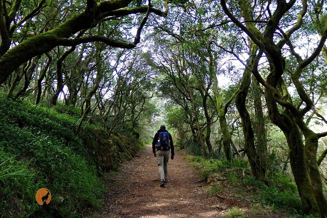 An adventure through the Forest and Palace of Bussaco - Coimbra - Price and Value: What You’re Really Paying For