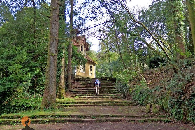 An adventure through the Forest and Palace of Bussaco - Coimbra - Who This Tour Suits Best (and Who Might Want to Rethink)