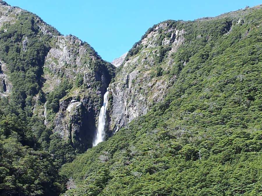 Arthur's Pass: TranzAlpine Train and Castle Hill Day Tour - Who should book this tour (and who should skip it)