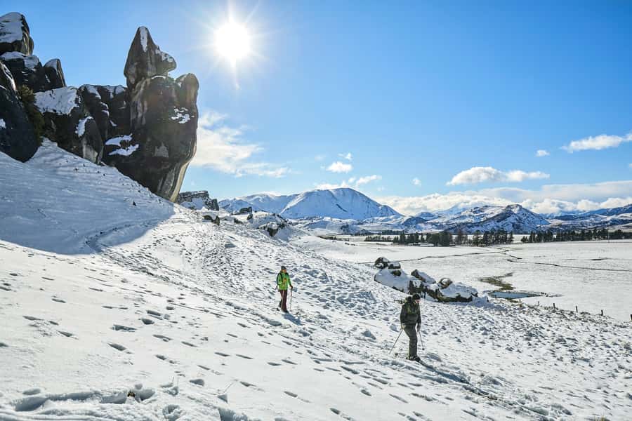 Arthur's Pass: TranzAlpine Train and Castle Hill Day Tour - The TranzAlpine ride: why the train is the main event