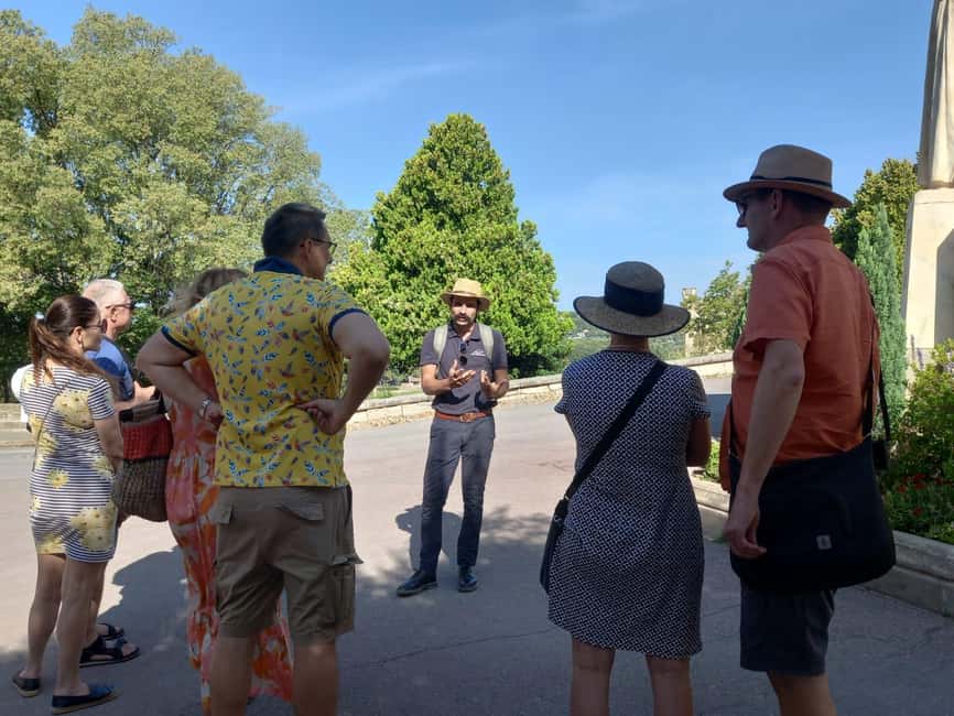 Avignon: City Walking Tour with Popes Palace Entry - The papacy context you need before you step inside