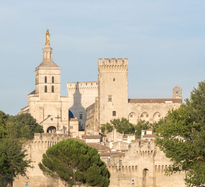 Avignon: City Walking Tour with Popes Palace Entry - Price and value: does $81 pay off in real time?
