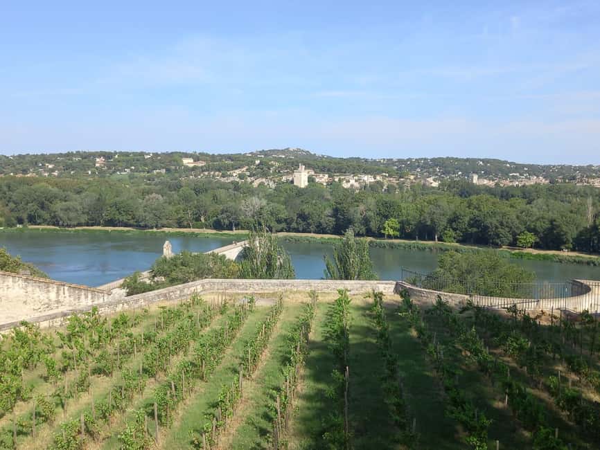 Avignon: City Walking Tour with Popes Palace Entry - Who this tour is best for (and who should skip it)