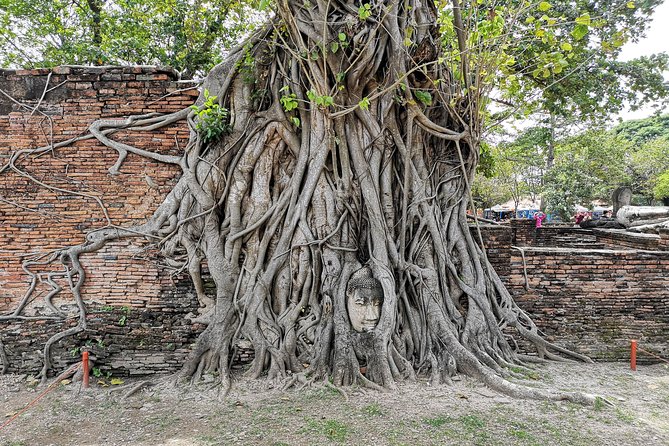 Bangkok: Private Ayutthaya and Bang Pa-In Summer Palace Tour - Lunch, pacing, and why private time can still feel tight