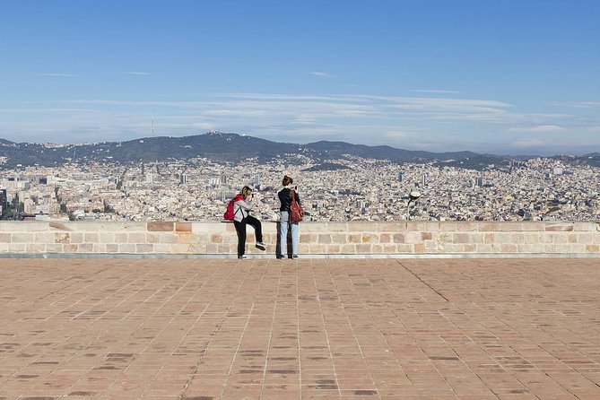 Barcelona: Old Town, Montjuic Castle, Cable Car Small Group Tour - Raval and the Fernando Botero Cat statue photo moment