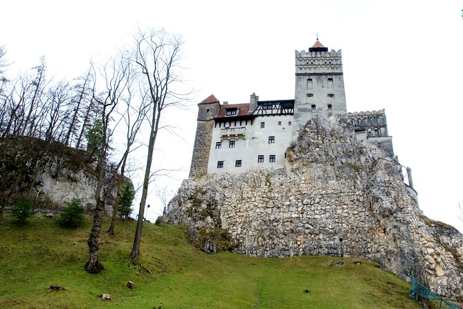 Bear Sanctuary and Bran Castle from Brasov - Why Liberty Bear Sanctuary and Bran Castle work as a half-day combo