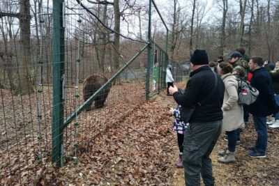 Bear Sanctuary and Bran Castle from Brasov - Price and what you actually pay in total