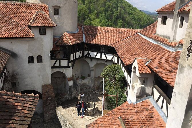 Bear Sanctuary and Bran Castle from Brasov - What kind of traveler this tour suits best