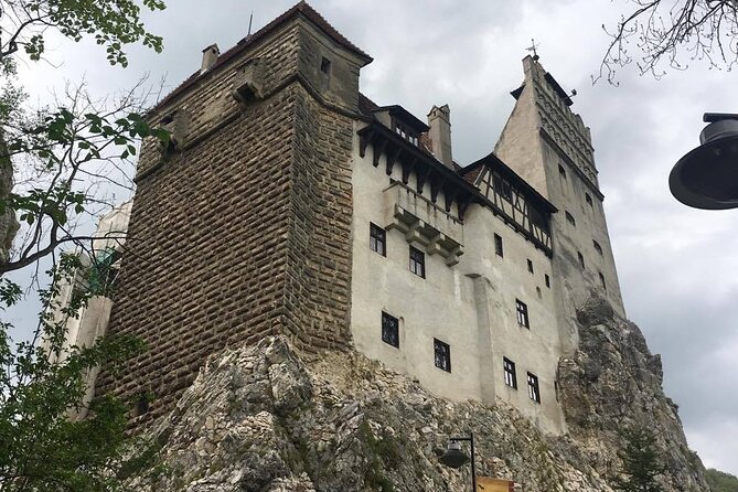 Bear Sanctuary and Bran Castle from Brasov - Should you book this Bear Sanctuary and Bran Castle tour?