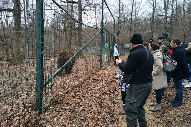 Bear Sanctuary and Bran Castle from Brasov - Price and what you actually pay in total