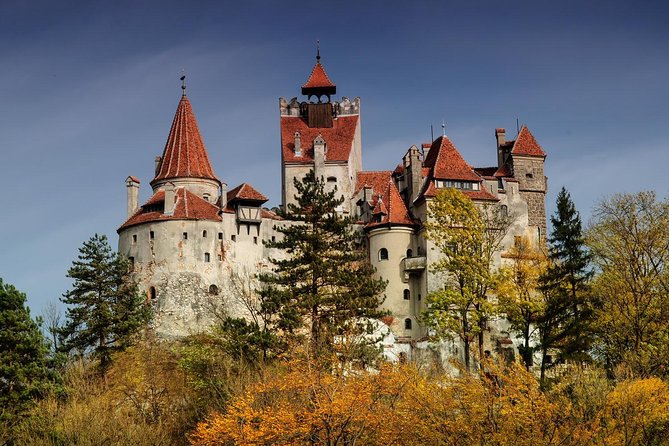 Bear Sanctuary, Bran (Dracula) Castle, Peles Castle From Brasov - Getting Around Brasov to Three Big Sights (Without the Stress)