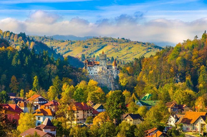Bear Sanctuary, Bran (Dracula) Castle, Peles Castle From Brasov - Bran Castle: Dracula Lore Meets Border History