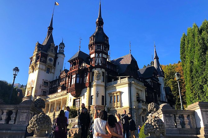 Bear Sanctuary, Bran (Dracula) Castle, Peles Castle From Brasov - How the Full Day Shapes Your Pace (Timing, Drives, and Lunch)