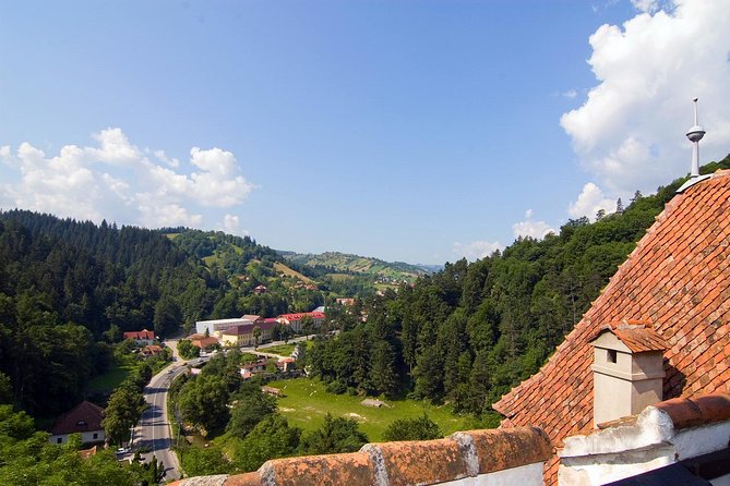 Bear Sanctuary, Bran (Dracula) Castle, Peles Castle From Brasov - Who This Tour Fits Best (and Who Might Want Another Option)