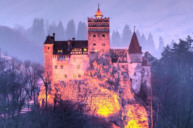 Bears Sanctuary, Dracula's Castle, Brasov Day Trip Private Tour from Bucharest - FAQ