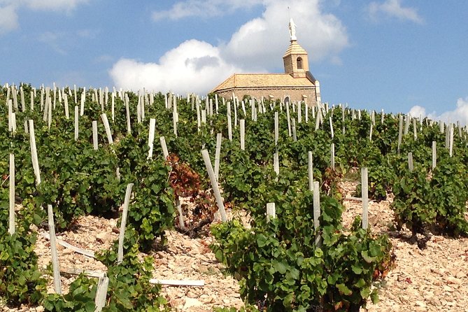Beaujolais Crus Wines & Castles (2:00 pm - 6:30 pm) - Small Group Tour from Lyon - Chénas château cellar: oak barrels, crus aromas, and guided tasting notes