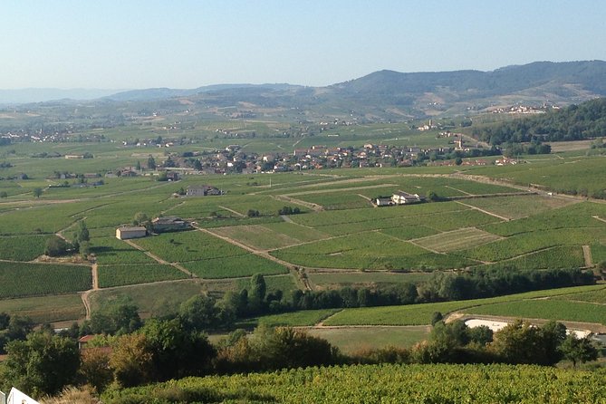 Beaujolais Crus Wines & Castles (2:00 pm - 6:30 pm) - Small Group Tour from Lyon - What “9/10 wines” means for your money and your palate