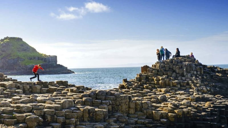 Belfast: Giant's Causeway, Dark Hedges, and Dunluce Castle - Dark Hedges: beech trees, the Stuart family, and Game of Thrones fame