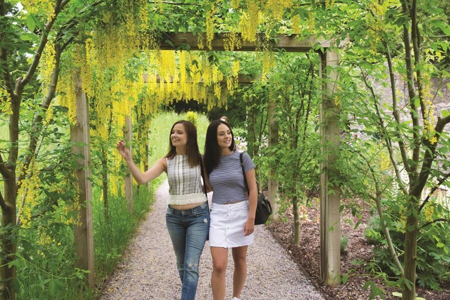 Blarney Castle Full-Day Tour from Dublin - Leaving Dublin for the Golden Vale of County Cork