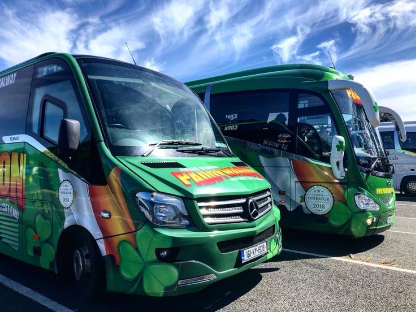 Blarney Castle Full-Day Tour from Dublin - Should you book this Blarney Castle Full-Day Tour from Dublin?