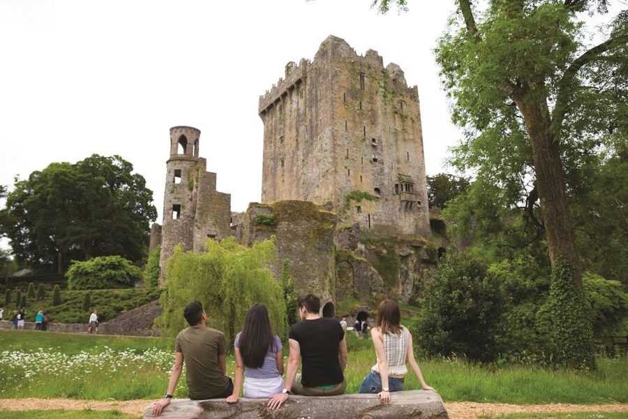 Blarney Castle Full-Day Tour from Dublin - Blarney Castle Gardens: Witch’s Cave and Stroll Time That Matters