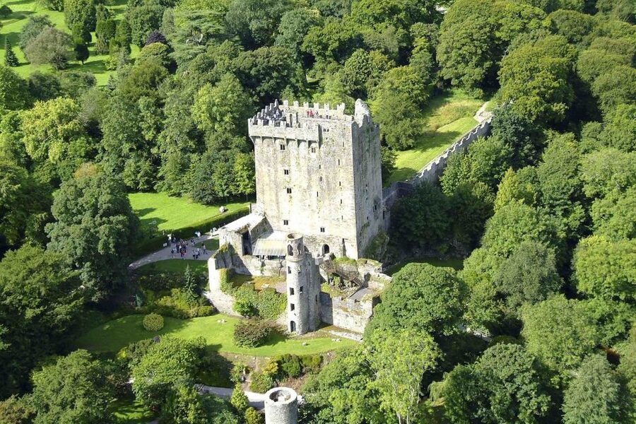 Blarney Castle Full-Day Tour from Dublin - Who this Blarney Castle day trip fits best