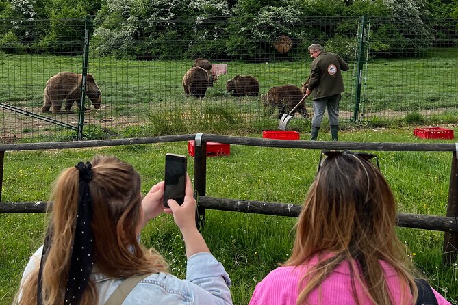 Bran (Dracula) Castle, Bear Sanctuary, Rasnov Fortress & Palinca Distillery - Libearty Bear Sanctuary in Zarnesti: the emotional heart of the day