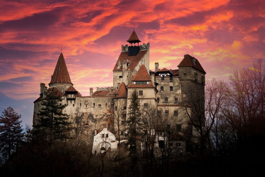 Bran: Guided Castle Tour - Key highlights you’ll care about