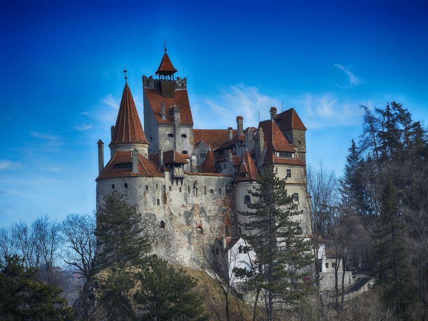 Bran: Guided Castle Tour - Price and Value: Is $48 Worth It?